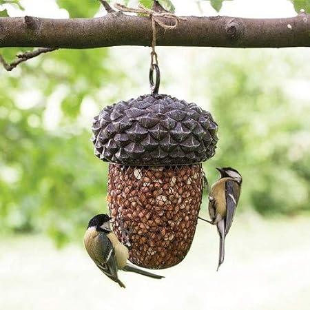 Amazon Com Esschert Acorn Bird Feeder Home Accent Garden Outdoor