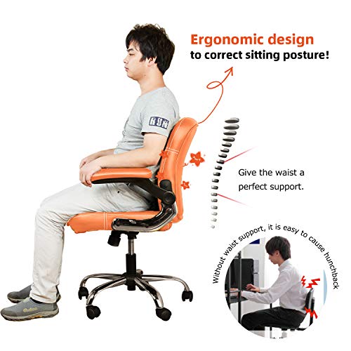 Myka's Ergonomic Leather Executive Office Chair High Back Computer Desk