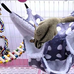 Amaca da gabbia per piccoli animali Oncpcare, amaca per aliante con zucchero a tre strati, accessori per gabbia per… Oncpcare Amaca da gabbia per piccoli animali Oncpcare, amaca per aliante con zucchero a tre strati, accessori per gabbia per…