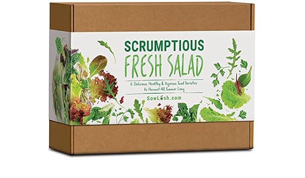 Sow Lush Set de Cultivo de Semillas para Ensalada «Scrumptious ...