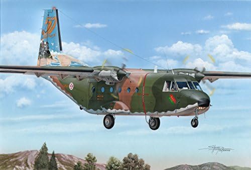Special Hobby SH72376 Scale Model kit, Unpainted
