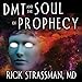 DMT and the Soul of Prophecy: A New Science of Spiritual Revelation in the Hebrew Bible