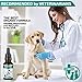 Kennel Cough Medicine for Dogs, Organic Dog Cough Medicine for Colds and Allergies - Natural Kennel Cough Treatment with Mullein Leaf and Elderberry