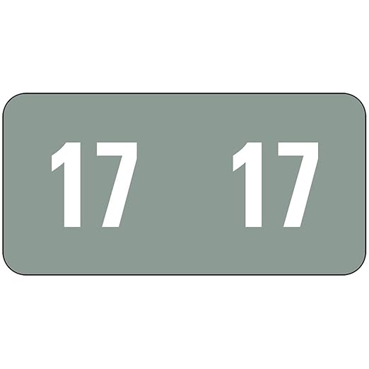 Amazon.com : Smead ETS Color-Coded Year Labels, 2017, Gray, 250 Labels per Pack (67917) : Office ...