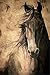 WISDOM - Horse Print 12x18 Inch Friesian Horse Acrylic Painting Equine Fine Art Print Dressage Horse Home Decor