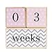 Premium Solid Wood Milestone Age Blocks | Choose From 3 Different Color Styles (Pink) | Baby Age Photo Blocks | Perfect Baby Shower Gift and Keepsake by LovelySprouts