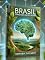 Livro Brasil Conectando Mentes e Natureza. O impacto transformador da inteligência artificial na educação sustentável.