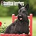 Scottish Terriers 2017 Wall Calendar
