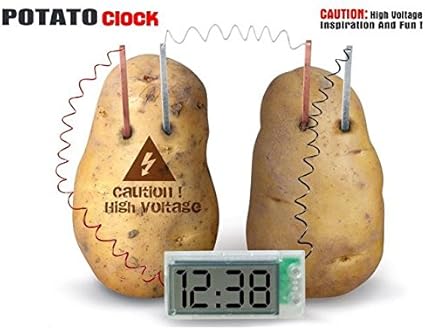 potato science kit