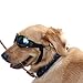 NACOCO Pet Glasses Dog Sunglasses Dog Glasses Golden Retriever Samoyed Sunglasses Goggles Big Dog Sunglasses (Black)
