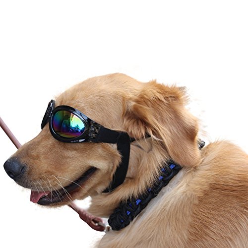 Pet Supplies, Dogs, Apparel & Accessories, Sunglasses