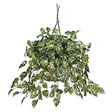 Nearly Natural 6517 Pothos Hanging Basket Decorative Silk Plant, Green
