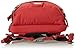 Osprey Pixel Daypack, Pinot Red, (Prior Season)