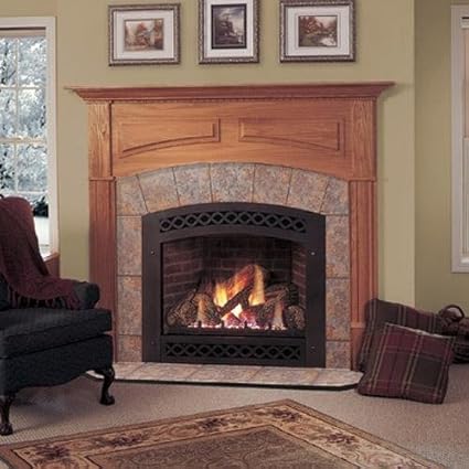 Monessen Lx32dvn Lexington Series 32 Inch Natural Gas Direct Vent