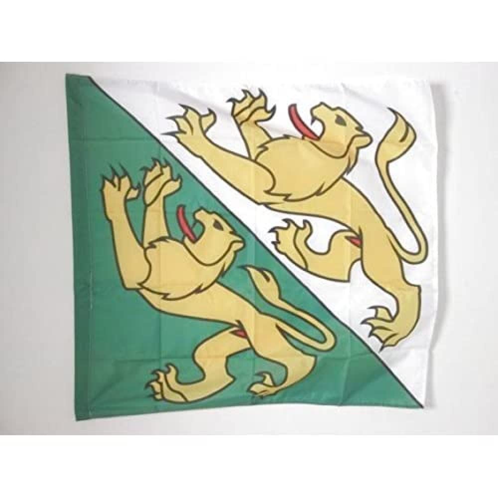 AZ FLAG - Canton of Thurgau Flag - 3x3 Ft - 100% Polyester Thurgau - TG Banner with Sleeve - Fade Resistant - Vivid Colors - 3' x 3' Feet - 90x90 Cm