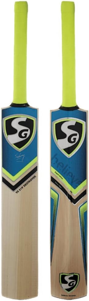 SG Cricket Vs 319 Destroyer English Willow Cricket Bat