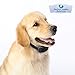 ONE Day Sale Advance No Bark Collar by Perfect Quality Solution-No Harm Shock Dog Control-7 Sensitivity Adjustable Control Levels for Training Small Medium Or Large Dogs-Free Bonus:Training EBook