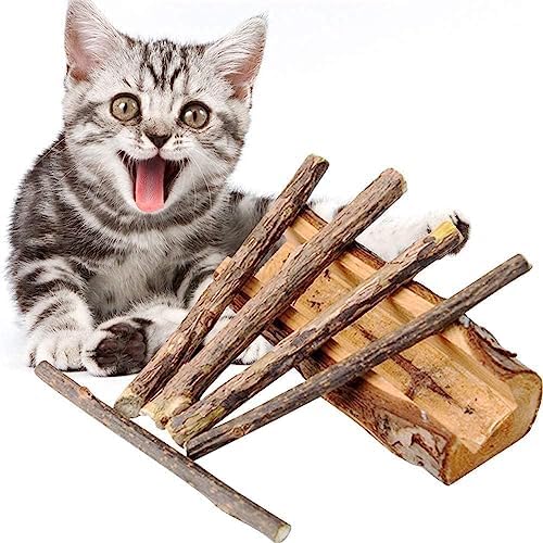 6 inch elevated dog bowl Medium Wooden Dog Bowl Stand 2.0  Halostands