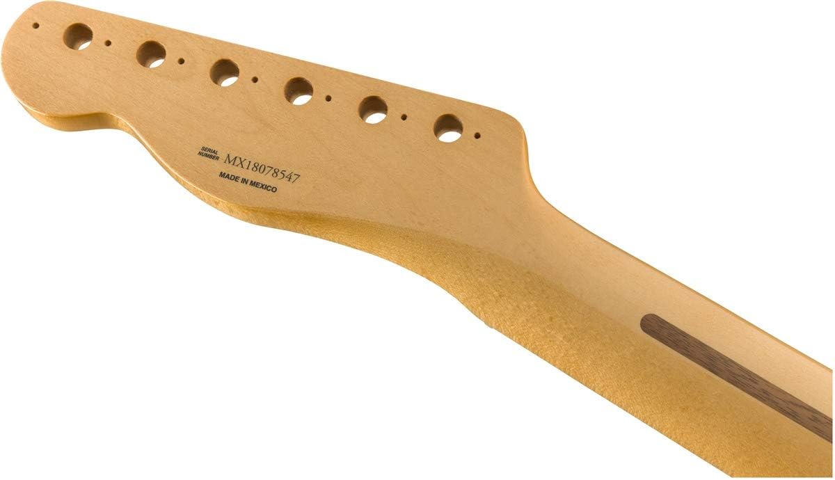 Fender® 1951 Telecaster® Neck, Fat "U" Shape, Narrow Tall Frets, 9.5", Maple, Meerschnecke, 9.5 inches - Image 4