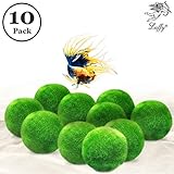 Luffy 10 Marimo Moss Balls - Jumbo Pack of Aesthetically Beautiful Plants - Create Healthy Environment for Aquatic Pets - Low Maintenance Live Plant - Shrimps & Snails Love Them