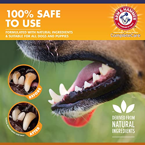 Arm & Hammer Complete Care Enzymatic Dog Toothpaste, 6.2 oz Dog