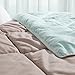 Bedsure Designs Reversible Down Alternative Comforter with Corner Ties, Twin - Mint/Tan