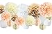 Vidal Crafts 30 Pcs Party Tissue Pom Poms Kit (14