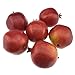 Gresorth 6 Pcs Lifelike Artificial Pomegranet Decoration Fake Pomegranate Fruit Home Party Kitchen Festival Show