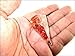 Jet Exquisite Carnelian Orgone Pendulum 2 inch Jet International Crystal Therapy Healing Power Peace Prosperity Divine Gemstone