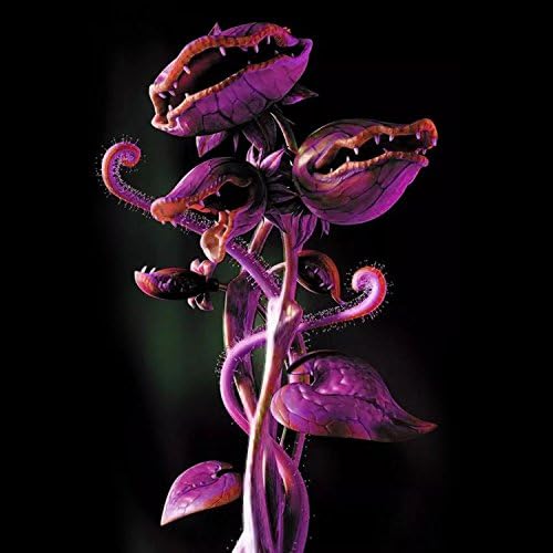 Foulon Seeds Dionaea Muscipula Giant Venus Flytrap Seeds Clip Flytrap Plant Seeds Carnivorous Seeds Garden Flowers