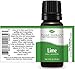 Plant Therapy Lime Essential Oil 10 mL (1/3 oz) 100% Pure, Undiluted, Therapeutic Grade