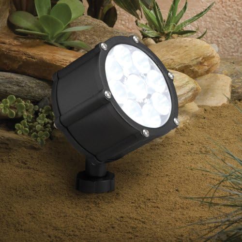 Textured Black Spot Light