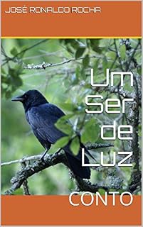 Livro Um Ser de Luz: CONTO