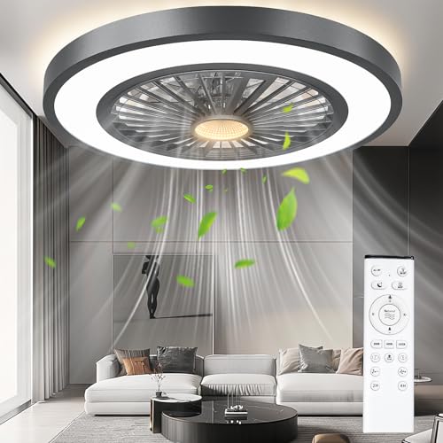 22'' Ceiling Fans with Lights and Remote, DC Motor