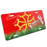Metal License Plate Football with Flag