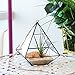 Glass Terrarium - Geometric Diamond Desktop Garden Planter by Mindful Design (Black)