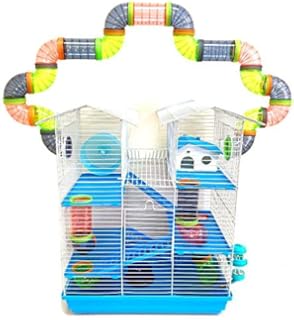 How To Capture An Escaped Hamster Baby Hamster Pet Mice Pet Rats