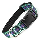 Plaid Dog Collar, Rose Tartan, Medium, 3/4