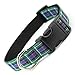 Plaid Dog Collar, Rose Tartan, Medium, 3/4
