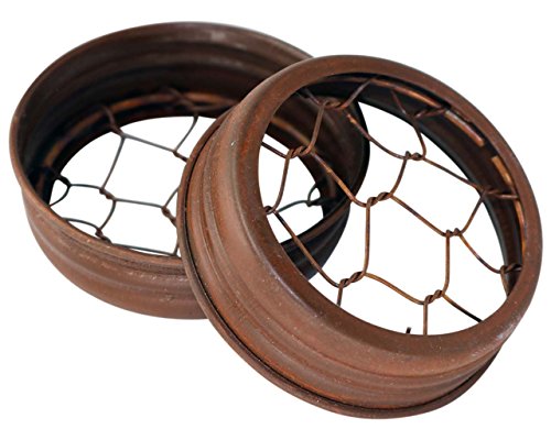 Rusty Flower Organizer Frog Lid for Mason Jars (3 Pack, Regular Mouth)