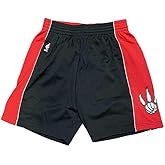 Mitchell & Ness NBA Swingman Shorts Raptors 2012