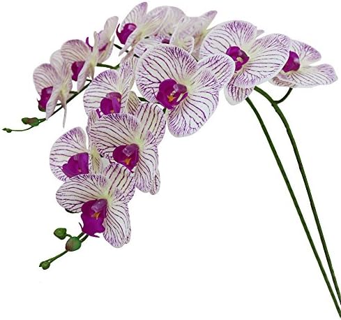 Htmeing 38 Inch Artificial Phalaenopsis Flowers Branches Real Touch (Not Silk) Orchids Flowers for Home Office Wedding Decoration,Pack of 2 (P-Stripe)