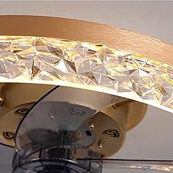 PSHRFANST 19.7" Ceiling Fan with Lights, Dimmable