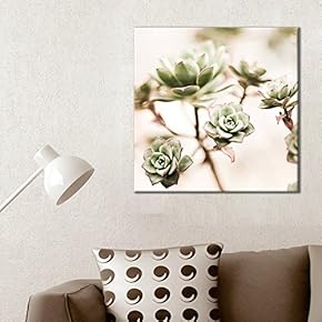 Square Canvas Wall Art - Retro Style Succulent Plant - Giclee Print Gallery Wrap Modern Home Art Ready to Hang - 12x12 inches