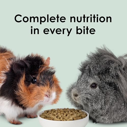 KAYTEE TIMOTHY COMPLETE GUINEA PIG FOOD, MADE WITH TIMOTHY HAY, HIGH IN FIBER, SUPPORTS DENTAL HEALTH AND DIGESTION, LONG-LASTING VITAMIN C, 9.5 POUNDS