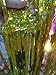 GOER 3.2 ft x 9.8 ft Metallic Tinsel Foil Fringe Curtains for Party Photo Backdrop Wedding Decor (1 Pack,Shiny Gold)