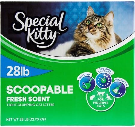 Special Kitty Multiple Cat Clumping Cat Litter, 28 lbs Outdoor Fresh Scent, Hard Clumping and Easy Scooping