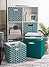 DII Poly-Cube Storage Collection Hard Sided, Collapsible Solid, Large, Teal