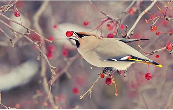 Rompecabezas para adultos 1000Pájaro comiendo cereza niños de madera