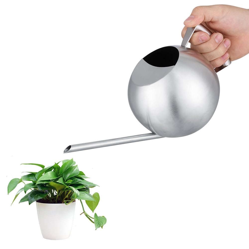 Hominas 1000 Ml Indoor Plant Watering Can, Stainless Steel Small House Plant Flower Watering Pot with Long Spout Gardening Tool for Bonsai Plant Outdoor Indoor, Silver